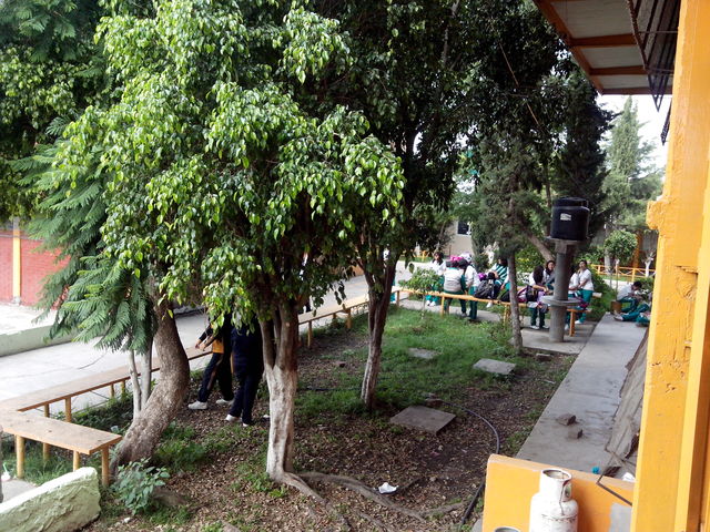Abundante vegetación (pasillos entre edificios 1 y 2)