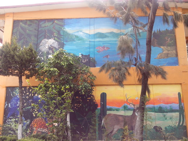 Murales edificio 1